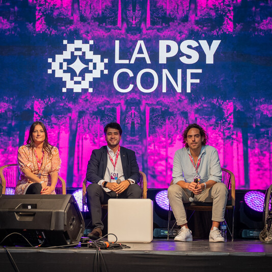 LAPSTYCONF Dia 3